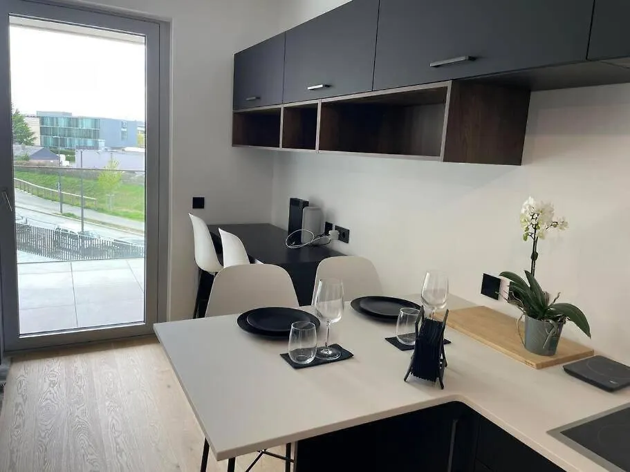 Apartment New Studio In Center With Terrac And Parking Luxembourg